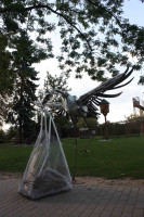 /album/miro-pallo/bocian-kov-jpg/